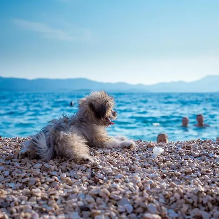 Ag - Peljesac Bridge * Komarna