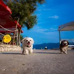 Apartman Ag - Peljesac Bridge Komarna