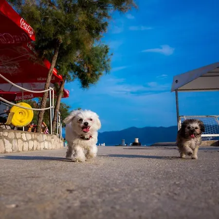 Lägenhet Ag - Peljesac Bridge Komarna