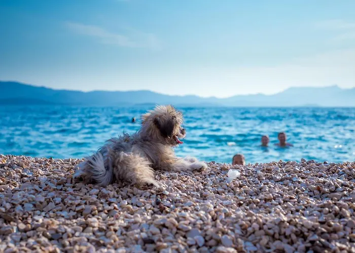 Ag - Peljesac Bridge * Komarna