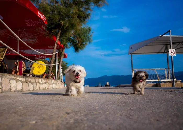 Appartamento Ag - Peljesac Bridge Komarna