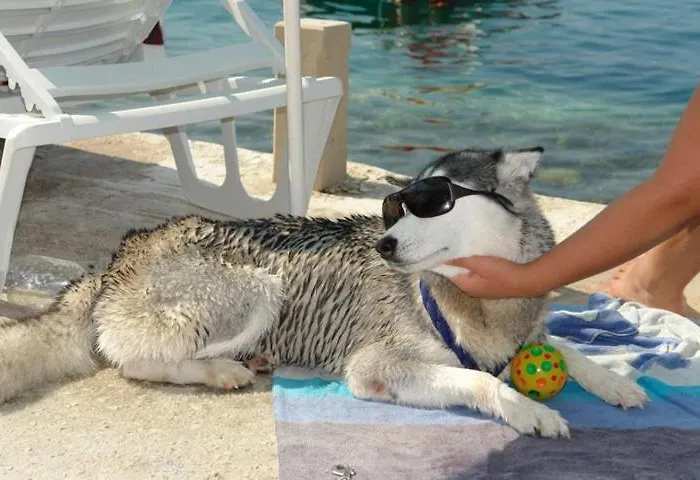 Ag - Peljesac Bridge * Komarna